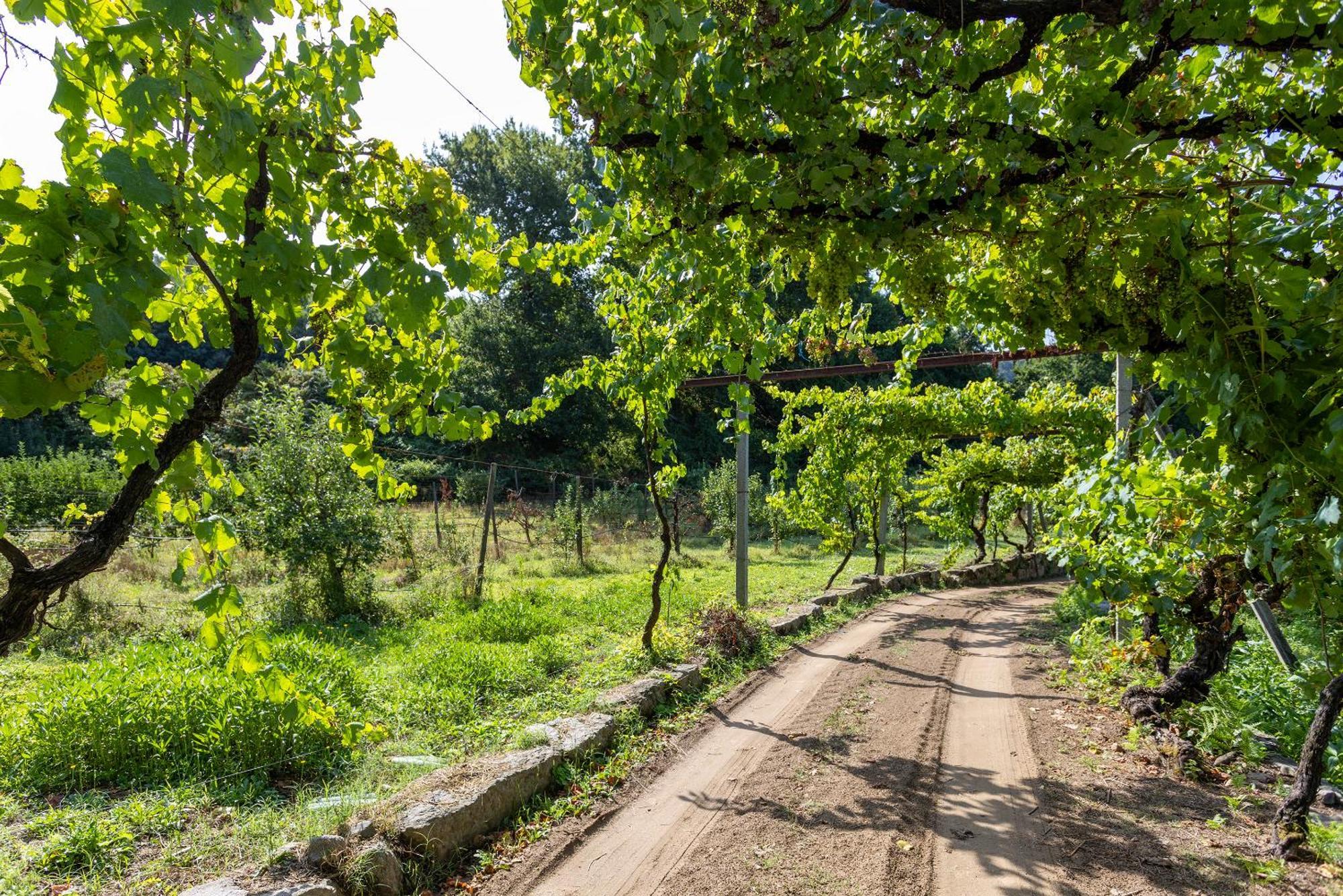 Quinta Da Comenda São Pedro do Sul Exterior foto